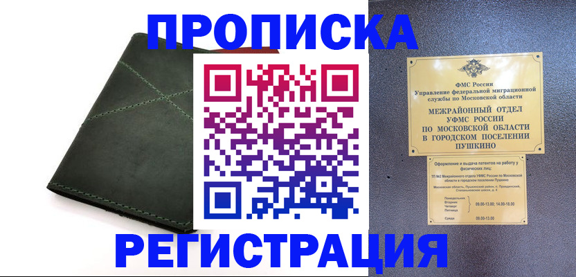 прописка в квартире в Электрогорске